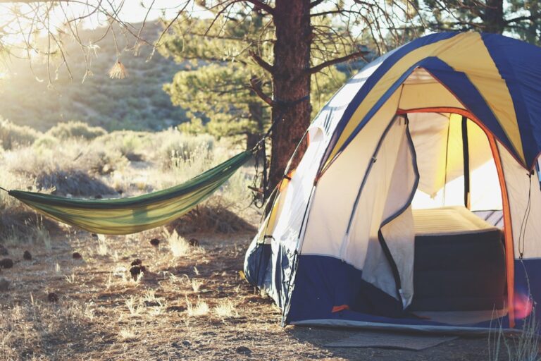 How to Choose the Perfect Tent for Your Next Trip